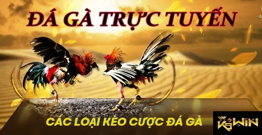 Các loại kèo cá cược đá gà tại K9win