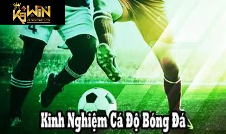 Mẹo cá cược bóng đá luôn thắng từ cao thủ k9win