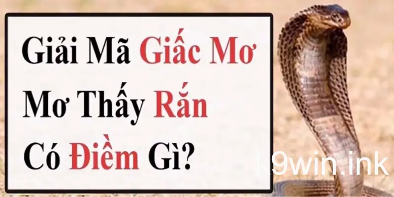 Diễn đàn xổ số k9win giả mã giấc mơ